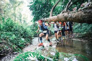 BIB: 
                            <button type="button" onclick="openModal(25457768)" class="btn btn-primary btn-sm float-right btn-popup" data-toggle="modal" data-target=".modal-high-quality">
                        <i class="fas fa-shopping-cart"></i> Add to Cart
                    </button>
                                            <button type="button" onclick="isThisMe(25457768, true)" class="btn btn-success btn-sm float-right btn-popup btn-isme hidden" data-toggle="tooltip" data-placement="bottom" title="นี่คือรูปของคุณใช่ไหม คลิกที่นี่เพื่อเอาเข้าอัลบั้ม">
                        <i class="fas fa-plus"></i> Add to album
                    </button>
                    <button type="button" onclick="isThisMe(25457768, false)" class="btn btn-warning btn-sm float-right btn-popup btn-isnotme hidden">
                        <i class="fas fa-ban"></i> Remove from album
                    </button>